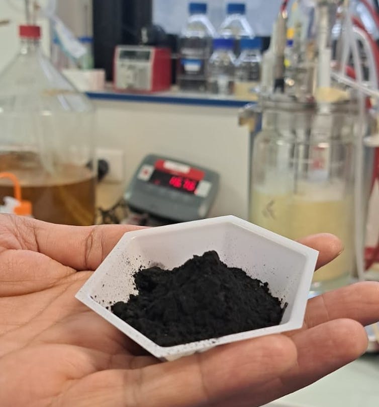 photo prise dans un laboratoire d’une main tenant une coupelle plastique contenant une poudre noire : le biochar